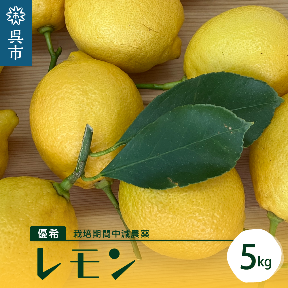 広島レモン完全無農薬10キロ 化学肥料不使用 採りたて - 果物
