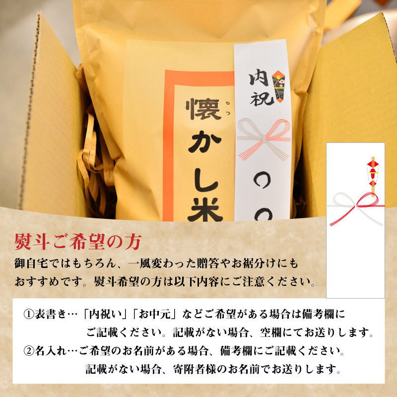 愛知県碧南市のふるさと納税 備えあれば“へーきなん”です 備蓄米 5kg 無洗米 真空パック 備蓄食 長期 食べられるお守り H056-110