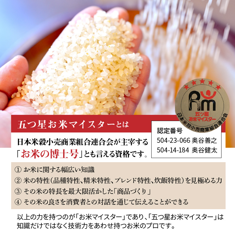 愛知県碧南市のふるさと納税 備えあれば“へーきなん”です 備蓄米 5kg 無洗米 真空パック 備蓄食 長期 食べられるお守り H056-110