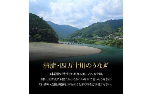 高知県芸西村のふるさと納税 うなぎ蒲焼き 2尾 + 藁焼き(白焼き)2尾 4尾セット 1尾約140g タレ付き うなぎ 鰻 ウナギ 蒲焼き かば焼き わら焼き 天日塩付き ポン酢付き 養殖 国産 お取り寄せ 冷凍 配送