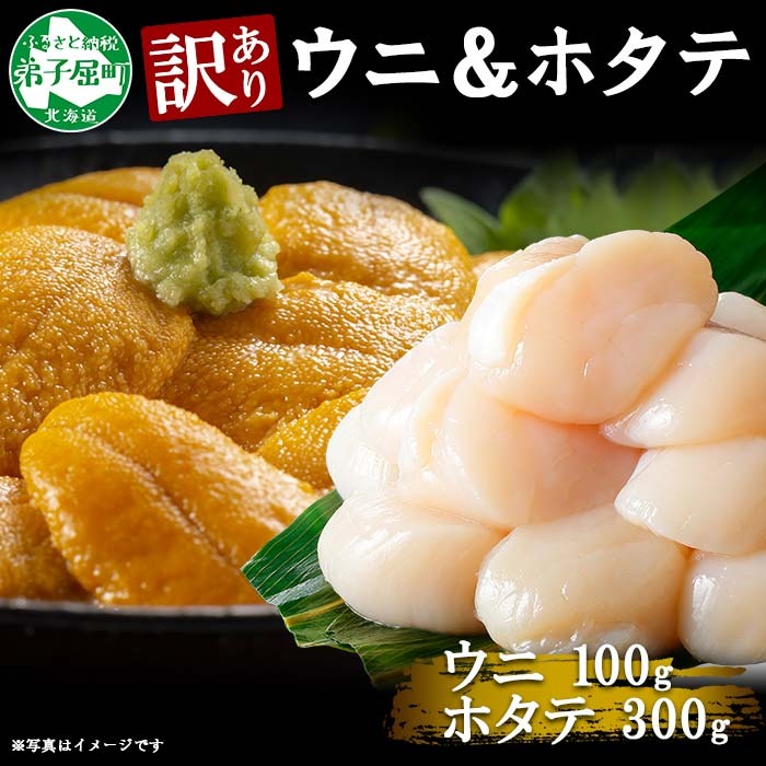 1261. 訳あり うに チリ産 冷凍 ほたて ウニ 100g 帆立 300g 雲丹 不揃い うに わけ あり 海鮮 丼 海鮮丼 刺身 うに丼 自宅用  送料無料 北海道 弟子屈町 / 北海道弟子屈町 | セゾンのふるさと納税