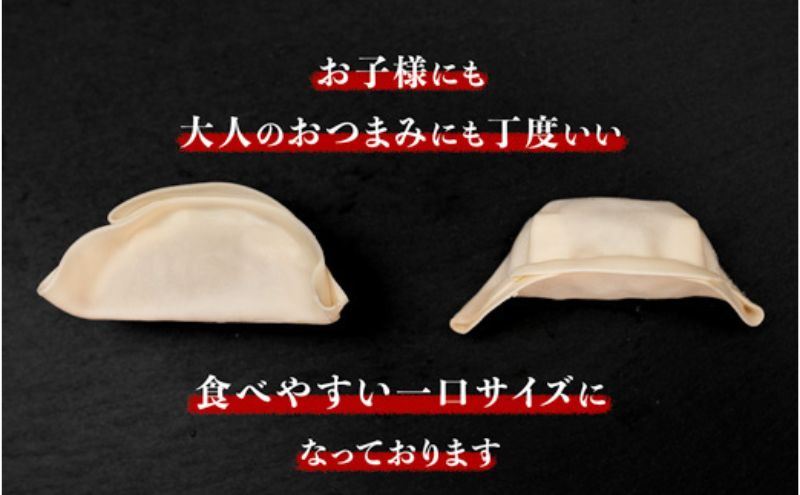 岐阜県海津市のふるさと納税 発芽にんにく餃子30個入り3パック にんにく にんにくたっぷり 国産にんにく 発芽にんにく 冷凍 臭わない おつまみ おかず 総菜 餃子専門店 ぎょうざ 工場直売 まとめ買い