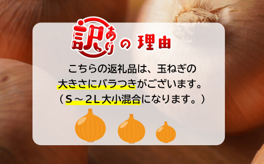 兵庫県淡路市のふるさと納税 【訳あり】今井ファームの淡路島たまねぎ 5kg【サイズ混合S～2L】