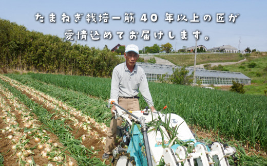 兵庫県淡路市のふるさと納税 【訳あり】今井ファームの淡路島たまねぎ 5kg【サイズ混合S～2L】