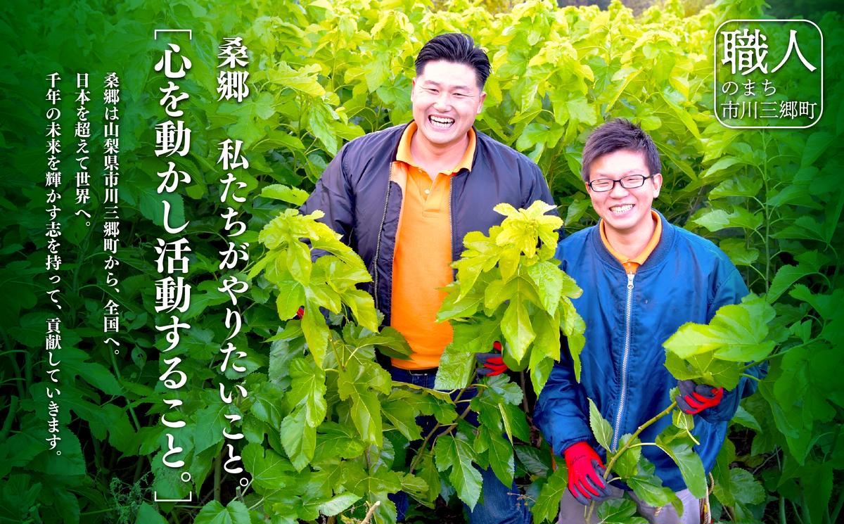 ハンさんのおいしいくわ茶10包3種×2袋セット [5839-1201] / 山梨県市川 
