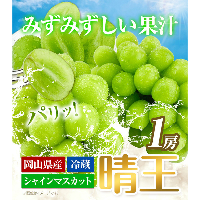 岡山県浅口市のふるさと納税 ぶどう [2025年先行予約] シャインマスカット 晴王 1房 500g 岡山県産《9月上旬-11月中旬頃出荷(土日祝除く)》 ハレノフルーツ マスカット 送料無料 岡山県 浅口市 フルーツ 果物 贈り物 ギフト 国産 岡山県産 くだもの 青果物 【配送不可地域あり】