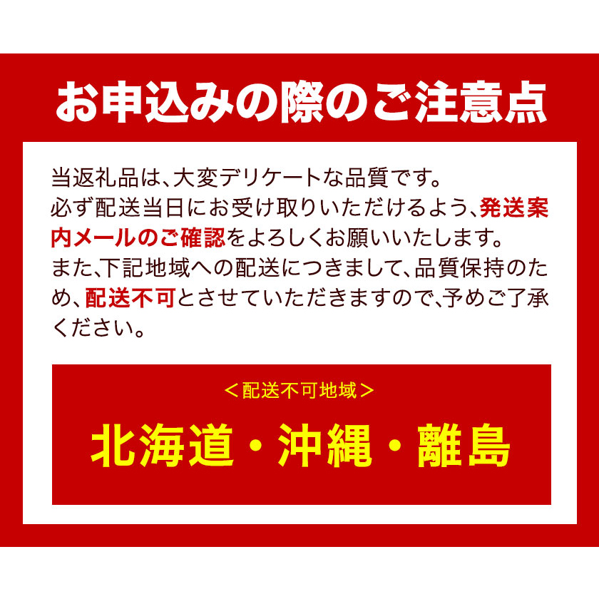 岡山県浅口市のふるさと納税 ぶどう [2025年先行予約] シャインマスカット 晴王 1房 500g 岡山県産《9月上旬-11月中旬頃出荷(土日祝除く)》 ハレノフルーツ マスカット 送料無料 岡山県 浅口市 フルーツ 果物 贈り物 ギフト 国産 岡山県産 くだもの 青果物 【配送不可地域あり】