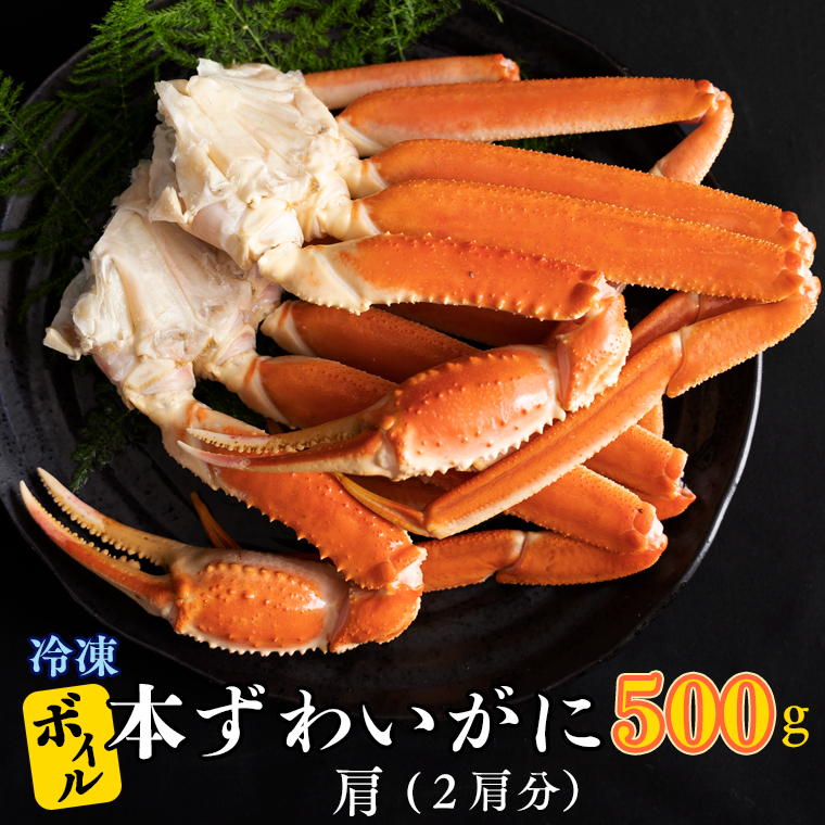 【茨城県大洗町】ボイル 本ずわいがに 2肩 500g × 1 カジマ ずわい蟹 ズワイガニ ずわいがに かに カニ 蟹