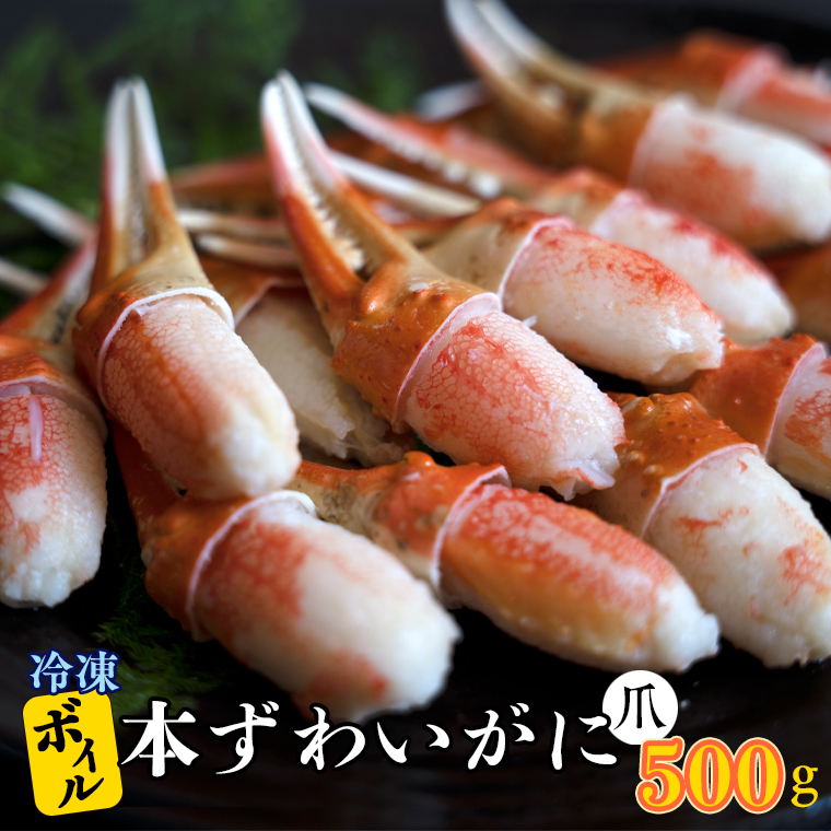 【茨城県大洗町】ボイル 本ずわいがに 爪 500g×1 カジマ ずわい蟹 ズワイガニ ずわいがに かに カニ 蟹 かに爪 カニ爪