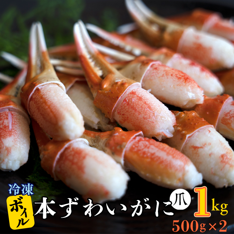 【茨城県大洗町】ボイル 本ずわいがに 爪 1kg (500g × 2) カジマ ずわい蟹 ズワイガニ ずわいがに かに カニ 蟹 かに爪 カニ爪