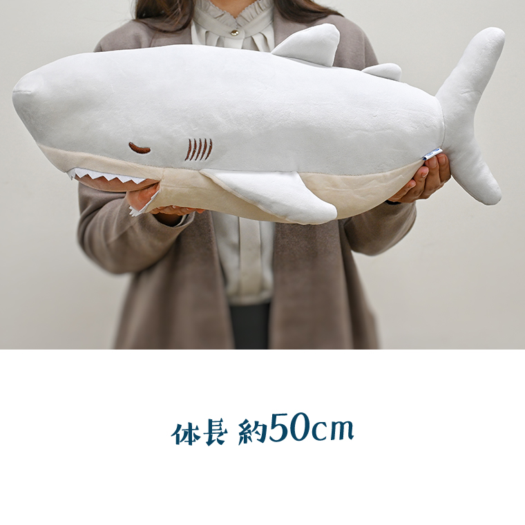 ホホジロザメ 抱き枕 アクアワールド 大洗 オリジナル かむかむズ ぬいぐるみ サメ グッズ 茨城 水族館 さめ 鮫 限定 / 茨城県大洗町 |  セゾンのふるさと納税