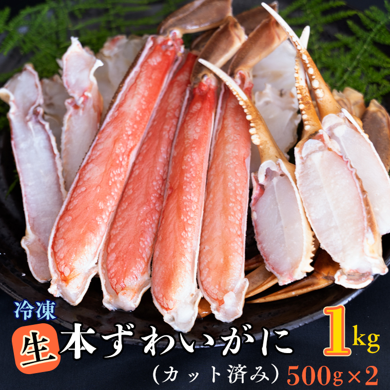 生冷 ずわいがに カット済み 1kg (500g × 2) カジマ ずわい蟹 ズワイガニ かに カニ 蟹
