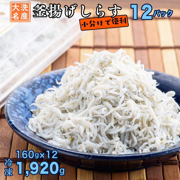 y錧zg炷 12pbN ( 160g × 12pbN  2kg ) VR  炷 VX    H