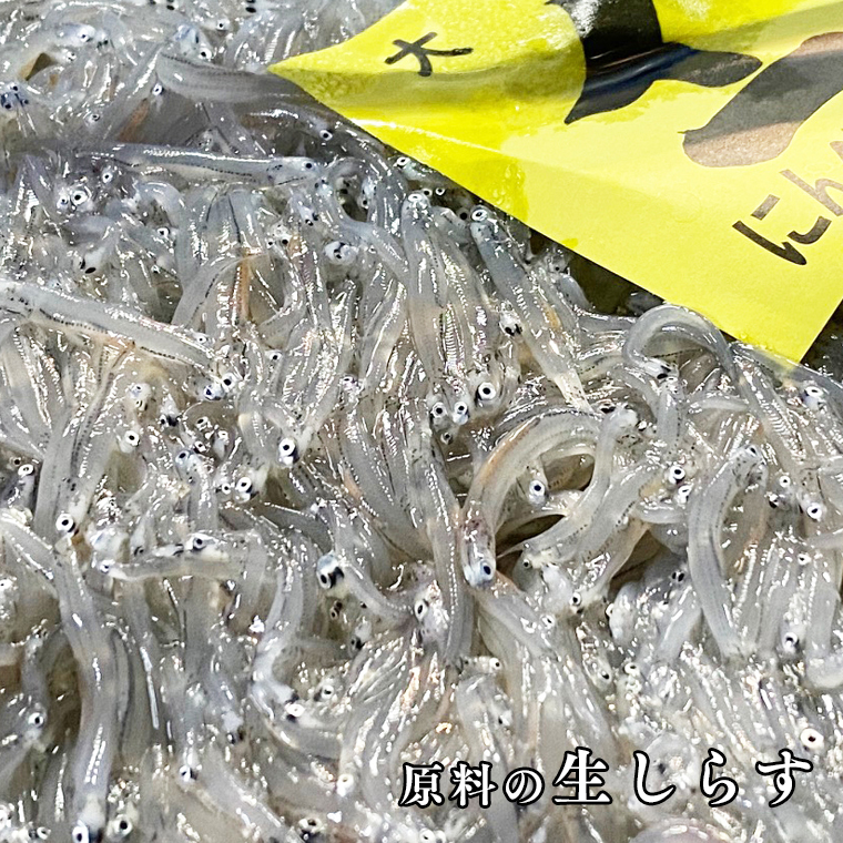 茨城県大洗町のふるさと納税 釜揚げしらす 6パック ( 160g × 6パック ) 約 1kg 天然 大洗 しらす シラス 魚 さかな 離乳食