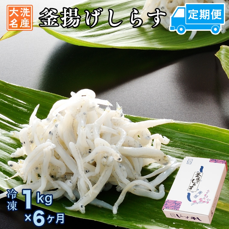 y錧z g炷 (1kg×6) VR g ӂ 炷 VX    H