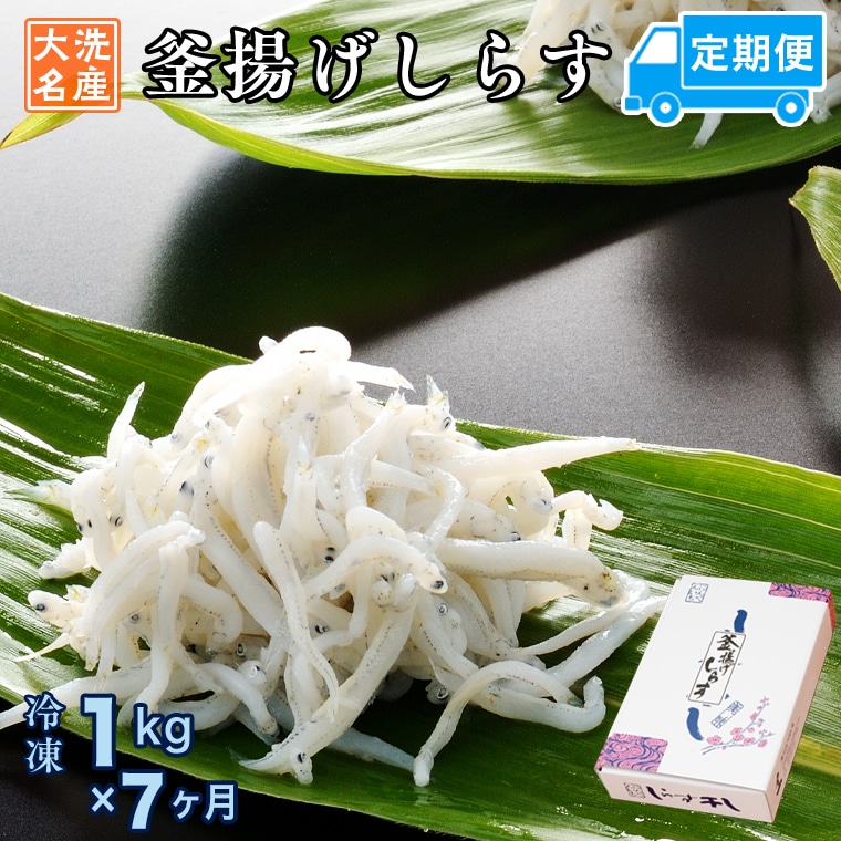 y錧z g炷 (1kg×7) VR g ӂ 炷 VX    H