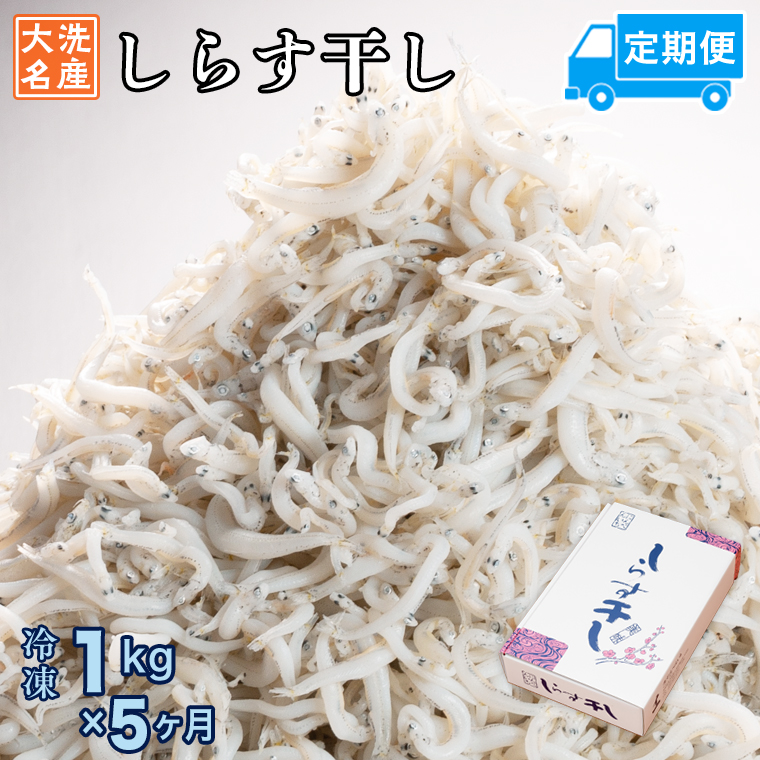 y錧z 炷 (1kg×5) VR ӂ  Y 炷 VX    H