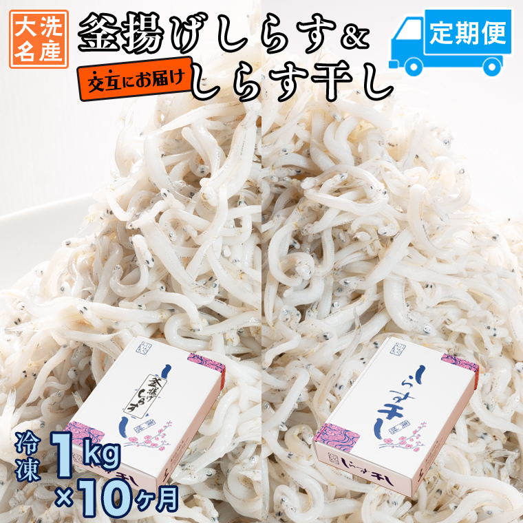 y錧zg炷 炷   (1kg×10) VR ӂ  Y 炷 VX    H