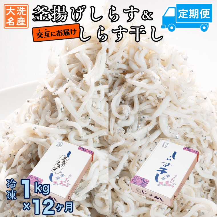 y錧zg炷 炷   (1kg×12) VR ӂ  Y 炷 VX    H