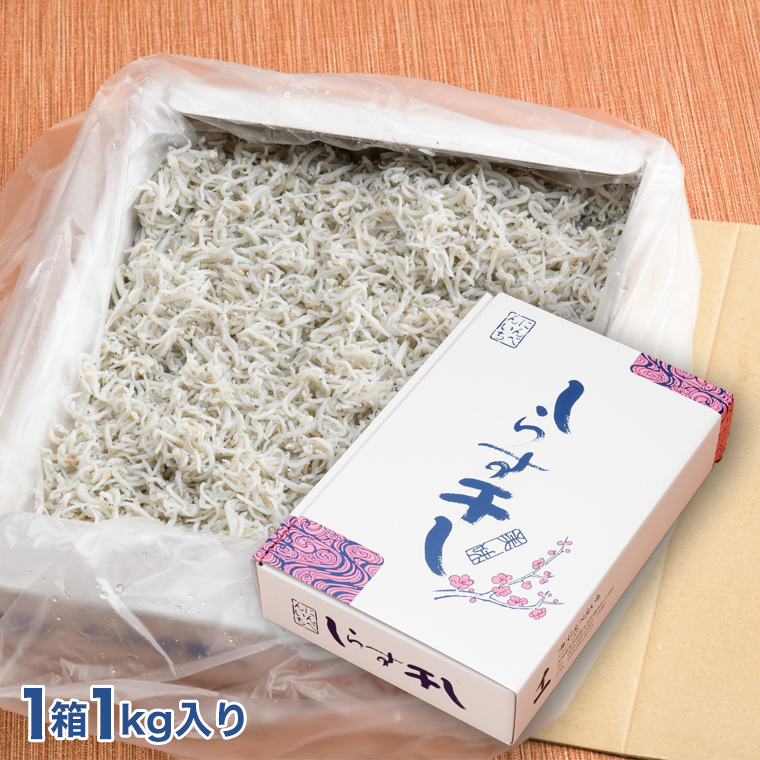 しらす 釜揚げしらす しらす干し 交互 定期便 (1kg×12か月) 天然