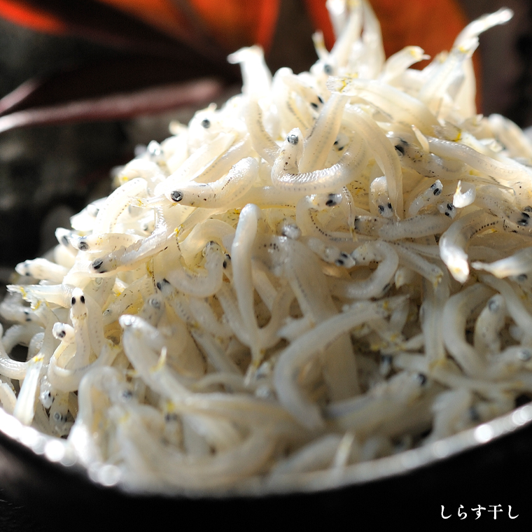 しらす様★★ 釜揚げしらす しらす干し 交互 定期便 (1kg×8か月) 天然