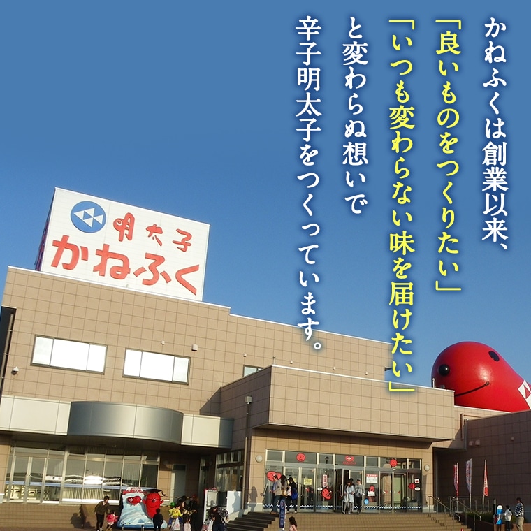 茨城県大洗町のふるさと納税 明太 もつ鍋 3～4人前 かねふく 明太子 築地 ふく竹 めんたいパーク 限定 鍋セット お手軽