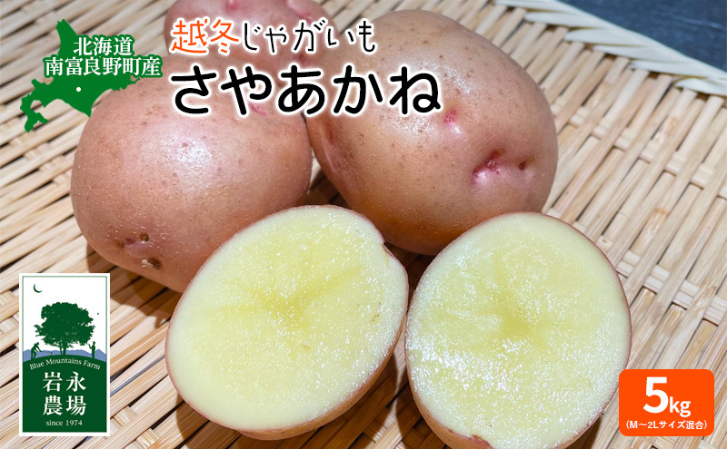 北海道 南富良野町 越冬じゃがいも「さやあかね」5kg(M〜2Lサイズ混合) 越冬 じゃがいも ジャガイモ さやあかね サヤアカネ 野菜 やさい