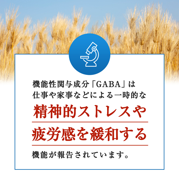 K-123 伝統にんにく卵黄・極(1袋31粒入)【健康家族】霧島市 健康食品