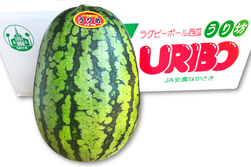 長崎県島原市のふるさと納税 BE276 小玉スイカ「うり坊」5kg（1.7kg以上×2～3玉） ～名水百選の里 島原産～