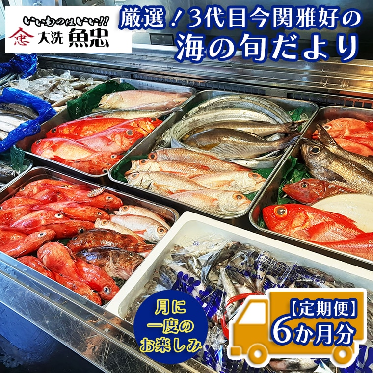 定期便 6ヶ月 鮮魚店「魚忠」 厳選鮮魚セット 大洗 厳選 旬 魚 さかな