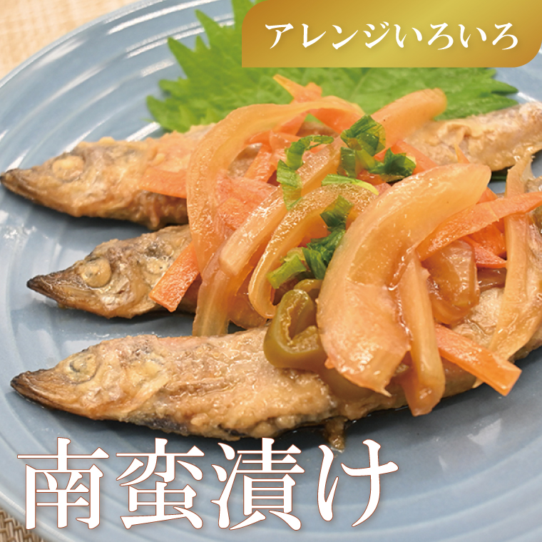 茨城県大洗町のふるさと納税 ししゃも 子持ち カラフトシシャモ 特大 40尾（20尾×2箱） 子持ちシシャモ カラフトししゃも 大洗