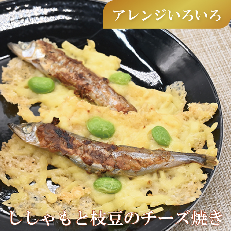 茨城県大洗町のふるさと納税 ししゃも 子持ち カラフトシシャモ 特大 40尾（20尾×2箱） 子持ちシシャモ カラフトししゃも 大洗