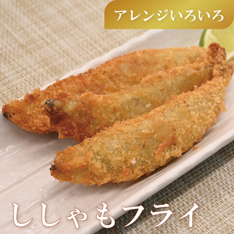 茨城県大洗町のふるさと納税 ししゃも 子持ち カラフトシシャモ 特大 40尾（20尾×2箱） 子持ちシシャモ カラフトししゃも 大洗