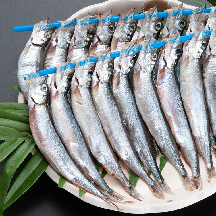 茨城県大洗町のふるさと納税 ししゃも 子持ち カラフトシシャモ 特大 40尾（20尾×2箱） 子持ちシシャモ カラフトししゃも 大洗