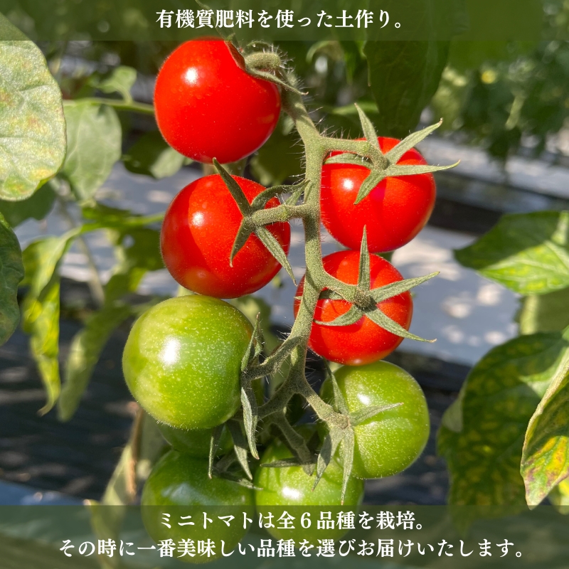 38065219mix.jpg