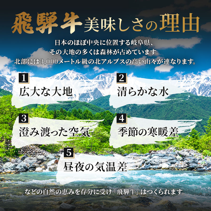 岐阜県池田町のふるさと納税 ふるさと納税　飛騨牛 牛肉 ステーキ 豪華セット ヒレ 150g×8枚 サーロイン 180g×5枚 計2.1kg 和牛
