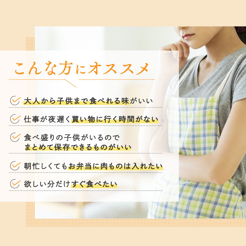 福岡県新宮町のふるさと納税 A1508.累計３００万個突破記念！どーんと１６個！デミ＆カレーハンバーグセット【150g×16個】