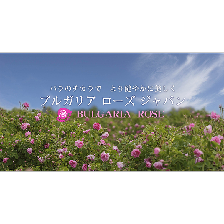 BULGARIA ROSE ダマスク ローズ ウォーター 500ml×2本【BX012ya】|有限会社エム・ディー・エス