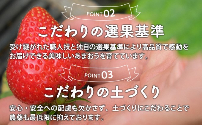 福岡県朝倉市のふるさと納税 定期便 3ヶ月 いちご あまおう 400g 特選 あまおう 2025年2月より発送 イチゴ 苺 フルーツ 果物 デザート 3回 お楽しみ ※配送不可：離島