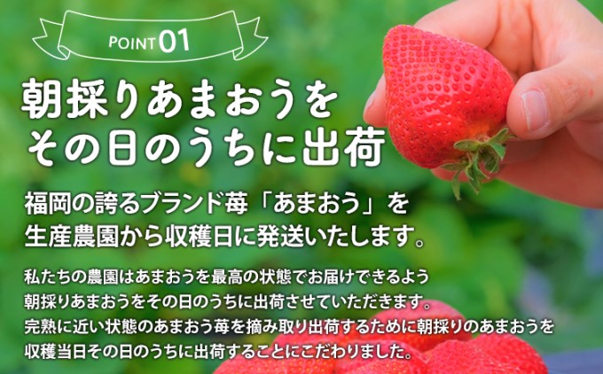 福岡県朝倉市のふるさと納税 定期便 3ヶ月 いちご あまおう 400g 特選 あまおう 2025年2月より発送 イチゴ 苺 フルーツ 果物 デザート 3回 お楽しみ ※配送不可：離島