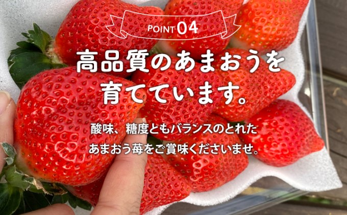 福岡県朝倉市のふるさと納税 定期便 3ヶ月 いちご あまおう 400g 特選 あまおう 2025年2月より発送 イチゴ 苺 フルーツ 果物 デザート 3回 お楽しみ ※配送不可：離島