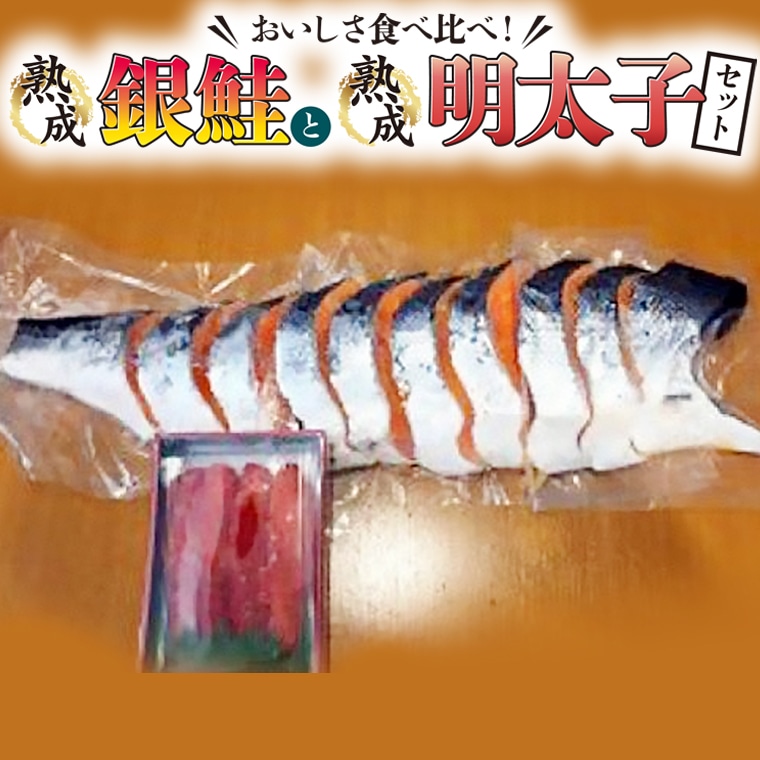 茨城県大洗町のふるさと納税 銀鮭半身 明太子（250g） セット 熟成 サケ めんたいこ 鮭 シャケ 新鮮 海鮮セット 海の幸