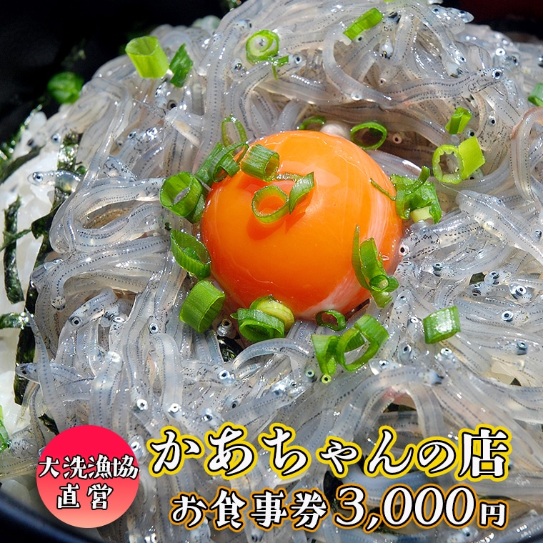 y錧zc ̓X 3,000~ H DҌ n VX VX t {̋