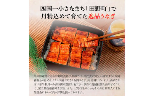 田野町産うなぎの蒲焼き(大) 3尾×3回 定期便 3ヶ月 定期コース 1尾あたり120～150g タレ付き 山椒付き うなぎ 鰻 ウナギ 蒲焼き  かば焼き 無頭 おいしい 国産 お取り寄せ 冷凍 配送|田野町養鰻倶楽部