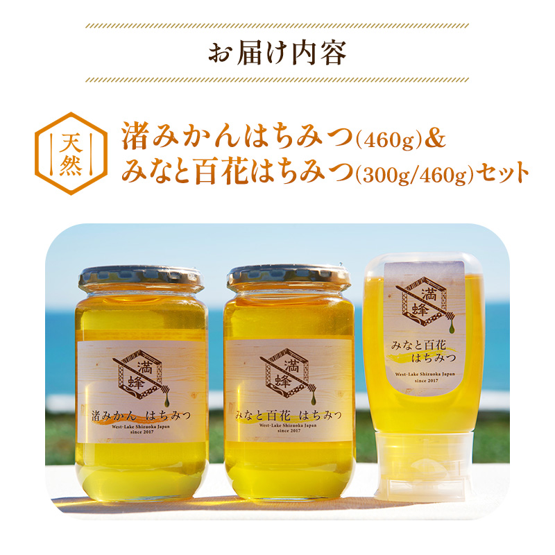 ふるさと納税 MINOKAMO HONEY はちみつ 3本（300g×3） 藤井養蜂 非加熱