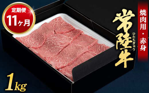 y錧Jszy 11z헤 ēpiԐgj1kg i錧ʕԗi 錧Yj