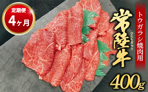 【茨城県守谷市】【定期便 4ヶ月】【希少部位】常陸牛トウガラシ焼肉用400g(茨城県共通返礼品 茨城県産)