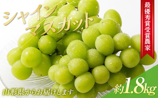 【令和7年産先行予約】 【山形県ぶどう品評