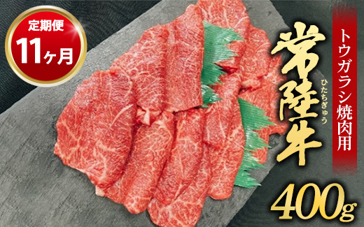 【茨城県守谷市】【定期便 11ヶ月】【希少部位】常陸牛トウガラシ焼肉用400g(茨城県共通返礼品 茨城県産)