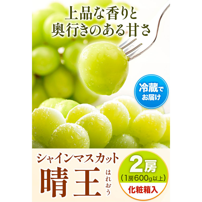 岡山県浅口市のふるさと納税 【2025年先行予約】シャインマスカット晴王 はれおう 2房(1房600g以上) 化粧箱入 株式会社山博(中本青果)《2025年8月下旬-10月中旬頃出荷》岡山県 浅口市 シャインマスカット 晴王 ぶどう マスカット 大粒 フルーツ 秀品 果物 ギフト 国産 岡山県産 送料無料 【配送不可地域あり】